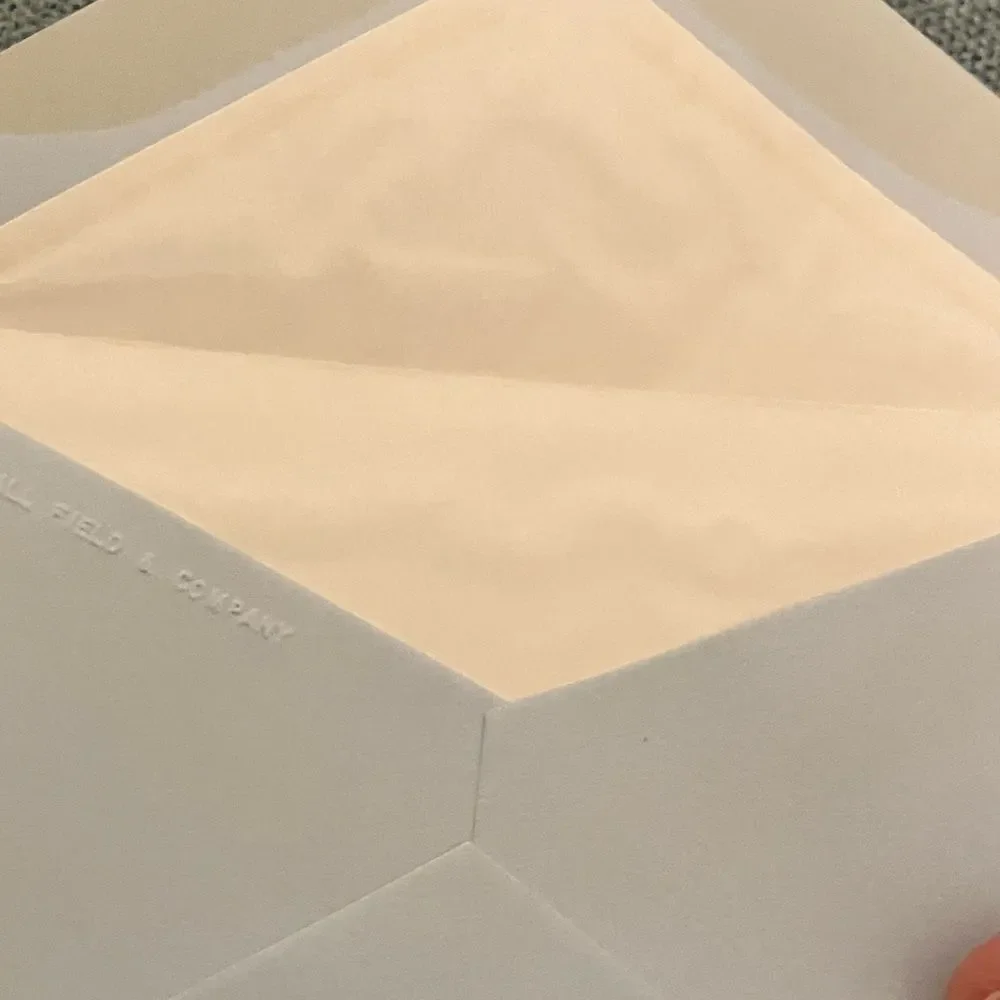 10 Blue Envelopes